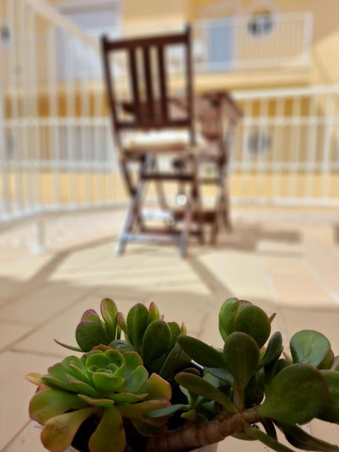 Apartment Flat Caballero